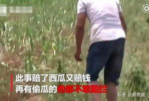 文安吃瓜事件网红视频,网红视频引发的网络狂欢