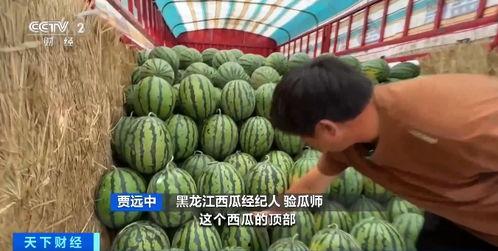 文安网红梅姐吃瓜事件