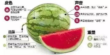 昆明微信吃瓜爆料