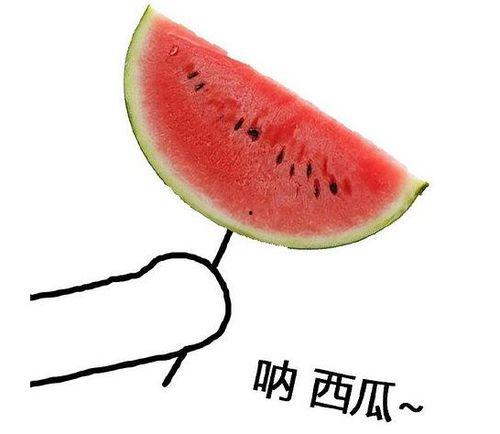 留学圈吃瓜网,揭秘海外留学生活那些事儿