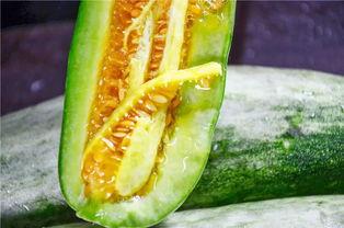 可以吃所有网红瓜的网站,揭秘热门话题背后的真相