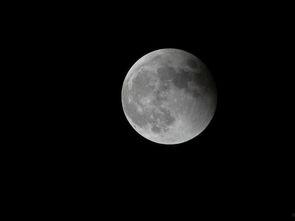 网红月亮吃瓜,瓜田里的美食探险记